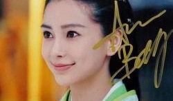 杨紫内部新闻爆料,揭秘娱乐圈幕后真相