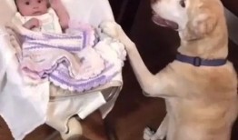 爆料小孩的视频搞笑,萌娃搞笑视频盘点