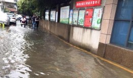 解放路学校爆料视频播放,揭秘校园内幕